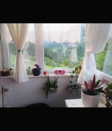 Macka Esiroglu Beldesi * Trabzon